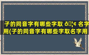 子的同音字有哪些字取 🦢 名字用(子的同音字有哪些字取名字用比较好)